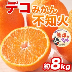 不知火 デコみかん(デコポンと同品種)18～37玉 約8kg(益城町)【1726329】