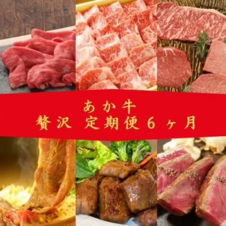 【毎月定期便】あか牛　贅沢　定期便(益城町)全6回【配送不可地域：離島】【4086833】