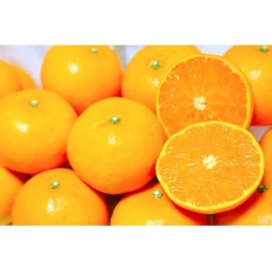 熊本県益城町のふるさと納税でもらえる返礼品の返礼品一覧 ふるさと納税サイト ふるなび