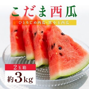 小玉スイカ 2玉入り(益城町)【配送不可地域：離島】【1388558】