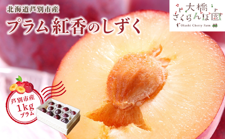 [先行受付] プラム 紅香のしずく 1kg 北海道 芦別市 大橋さくらんぼ園