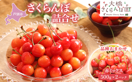さくらんぼ 500g ×2 パック 赤ミックス 大橋さくらんぼ園 サクランボ チェリー 果物 果物類 フルーツ デザート 完熟 新鮮 美味しい 人気 北海道 芦別市