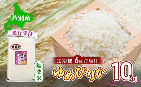 y st z  6 ߂҂肩  10kg   Yn  Pꌴ uh A A 10L kCY  ͂   ߘa7NY kC  ʎs 