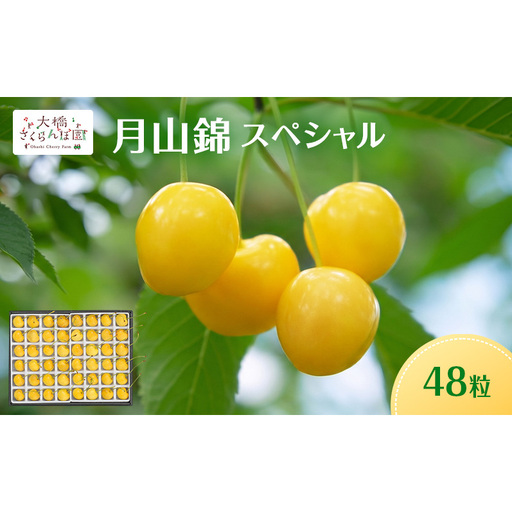 [先行予約]さくらんぼ 月山錦 スペシャル 48粒 化粧箱入 特選 大粒 フルーツ 完熟 サクランボ 果物 デザート 贈り物 ギフト 北海道 芦別市 送料無料