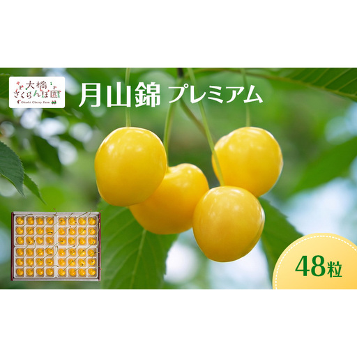 [先行予約]さくらんぼ 月山錦 プレミアム 48粒 最高級 特大粒 宝石箱 農林水産大臣賞受賞 完熟 フルーツ 果物 贈答用 北海道 芦別市 送料無料