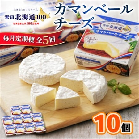 【毎月定期便】雪印北海道 カマンベールチーズ 1箱(90g×10個入り)全5回_卵・乳製品 チーズ    定期便 定期便  _【配送不可地域：離島】【4014033】