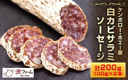 大樹町産　ケンボロー・ホエー豚　白カビサラミソーセージ　2本_肉 ベーコン・サラミ 豚肉 _【配送不可地域：離島】【1535423】