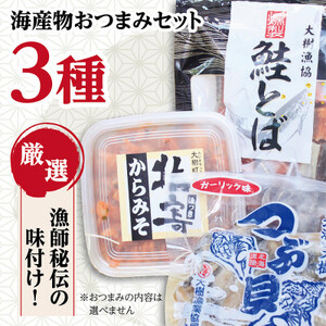 お酒がすすむ!漁師がオススメする海産物おつまみセット(3種)[AT-001]_魚介・海産物 _[配送不可地域:離島]