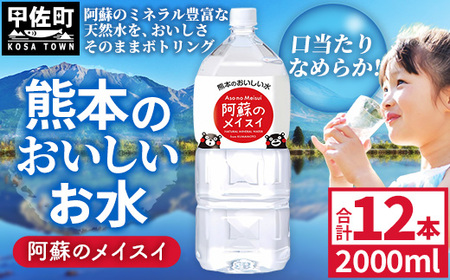 熊本のおいしいお水 阿蘇のメイスイ 2L×12本（2ケース）（共通返礼品・御船町） - 飲料水 ミネラルウォーター 軟水 防災 備蓄 ローリングストック【価格改定】