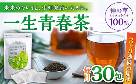 【全3回定期便】一生青春茶 30包 サプリ サプリメント 神の草 日本山人参 ヒュウガトウキ ティーバッグ【ひなたふぁーむ】[YBG005]