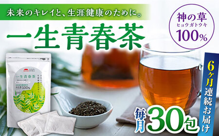 【全6回定期便】一生青春茶 30包 サプリ サプリメント 神の草 日本山人参 ヒュウガトウキ ティーバッグ【ひなたふぁーむ】[YBG006]