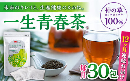 【全12回定期便】一生青春茶 30包 サプリ サプリメント 神の草 日本山人参 ヒュウガトウキ ティーバッグ【ひなたふぁーむ】[YBG007]