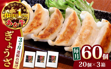 [全3回定期便]熊本県産 あか牛 ぎょうざ 計60個 ( 20個 × 3箱 ) 熊本和牛[有限会社 三協畜産]