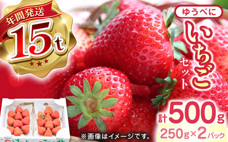 ys\zy2025N12菇z䂤ׂ  v500g (250g×2pbN) 䂤ׂ   Xgx[ t[c ʕ[YBI028]