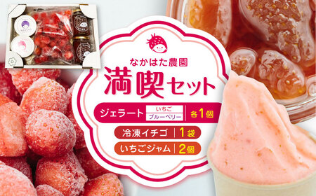【限定数量】なかはた農園満喫セット ( 冷凍 いちご 500g いちごジャム 1個 ジェラート 2種 × 各1個 ) アイス 農園直送 産地直送 熊本県産 山都町産 イチゴ 苺 ストロベリー フルーツ 果物 【なかはた農園】[YBI021]