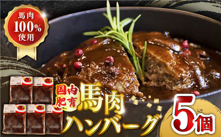 国内肥育 冷凍 馬肉ハンバーグ 計1kg ( 200g × 5個 ) デミグラスソース入り 小分けハンバーグ 個包装 惣菜 湯煎 熊本[有限会社 丸重ミート]