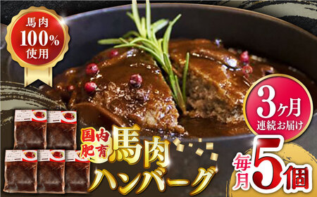 [全3回定期便]国内肥育 冷凍 馬肉ハンバーグ 計1kg ( 200g × 5個 ) デミグラスソース入り 小分け 個包装 惣菜 湯煎 熊本[有限会社 丸重ミート]