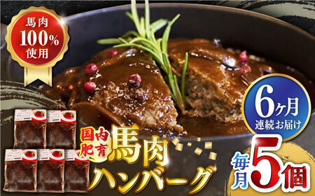 yS6ցz Ⓚ nno[O v1kg ( 200g × 5 ) f~OX\[X   y  F{yL ۏd~[gz[YAK038]