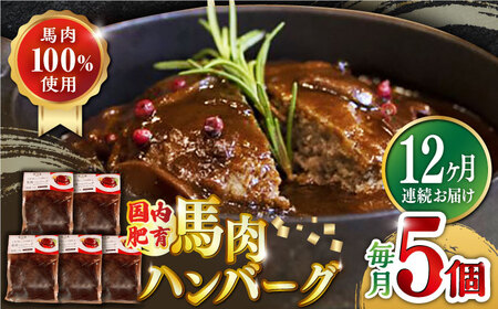 yS12ցz Ⓚ nno[O v1kg ( 200g × 5 ) f~OX\[X   y  F{yL ۏd~[gz[YAK051]
