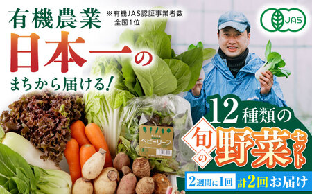 [全2回隔週定期便]有機野菜 オーガニック 12種セット 有機野菜 有機野菜 有機野菜 有機野菜 有機野菜 