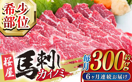 yS6ցz y󏭕ʁznhL̐gJCm~300g F{ Ⓚ n nh wV[ yRsijz [YBW107]