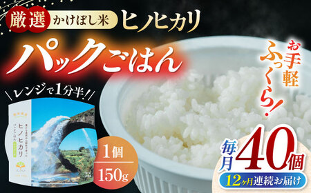 yS12ցz傤̔ pbN 150×40pbN   [YDN008]