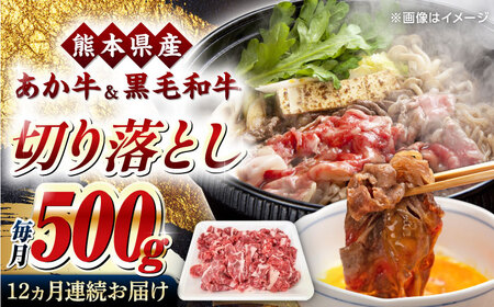 【全12回定期便】熊本県産 くまもと黒毛和牛 あか牛 ミックス 切り落とし 500g 牛肉【熊本県畜産農業協同組合】 [YAD019]