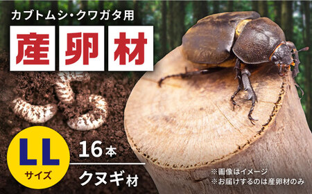 オリジナル産卵材 LLサイズ カブトムシ クワガタ クヌギB材 [ふるさと昆虫]