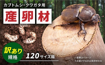 [訳あり] オリジナル産卵材 規格外品 カブトムシ クワガタ クヌギ材 [ふるさと昆虫]