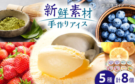 アイスセット 山都町産 ブルーベリー いちご ゆず 抹茶 バニラ アイス 手作り 8個セット [MILKY-WAY]