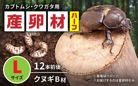 オリジナル産卵材 Lサイズ ハーフ カブトムシ クワガタ クヌギB材 【ふるさと昆虫】[YDV017]