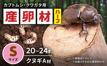 オリジナル産卵材 Ｓサイズ ハーフ カブトムシ クワガタ クヌギA材 【ふるさと昆虫】[YDV020]