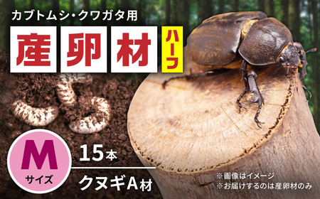オリジナル産卵材 Mサイズ ハーフ カブトムシ クワガタ クヌギA材 【ふるさと昆虫】[YDV021]