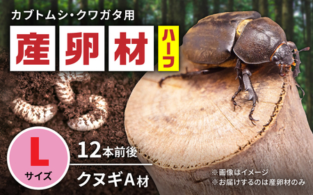 オリジナル産卵材 Lサイズ ハーフ カブトムシ クワガタ クヌギA材 【ふるさと昆虫】[YDV022]