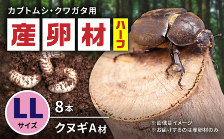 オリジナル産卵材 LLサイズ ハーフ カブトムシ クワガタ クヌギA材 【ふるさと昆虫】[YDV023]