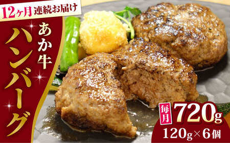 yS12ցz 100no[O Zbg 120g×6yL O{Yz[YCG181]