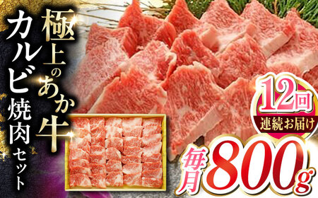 yS12ցzJrēZbg 800g yL O{Yz[YCG151]