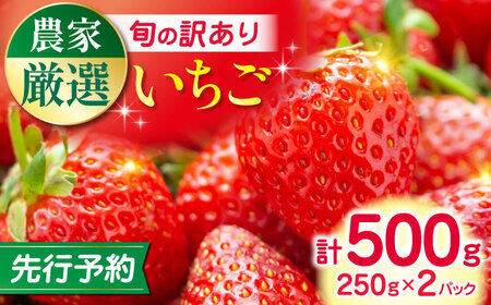 [先行予約][2025年12月より順次発送][訳あり]いちご 計500g よつぼし ゆうべに さがほのか 恋みのり 訳あり いちご 果物 フルーツ