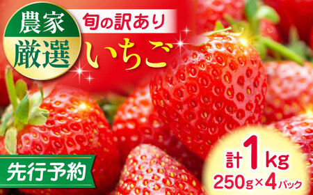 y2025N12菇zy󂠂z v1000g 󂠂肢 ʕ t[c[YBI060]