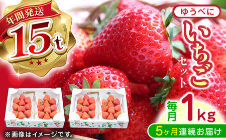 ys\zy2025N12菇zyS5ցz䂤ׂ  Zbg 250g×4PyȂ͂_z[YBI064]
