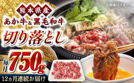 yS12ցzF{Y ܂ƍјa  ~bNX ؂藎Ƃ 750g yF{{Y_Ƌgz[YAD038]