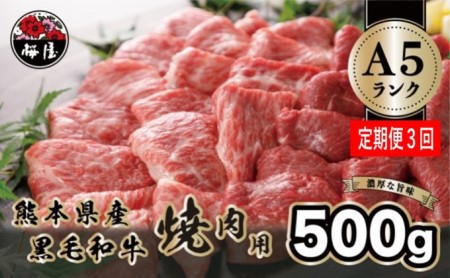 【定期便3回】A5 ランクの熊本県産 黒毛和牛 焼肉用 500g G-106　※1ヶ月おきにお届け