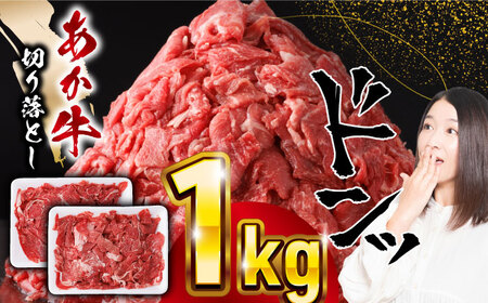 熊本県産 あか牛 切り落とし 計1kg (500g×2P) 熊本産切り落とし 牛肉 赤牛 切り落とし 冷凍 国産牛肉 きりおとし[五右衛門フーズ]