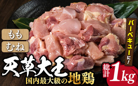 [数量限定]熊本県産 天草大王 地鶏 バーベキュー用カット肉 計1kg 鶏肉 もも むね 国産 [あそ大王ファーム株式会社]