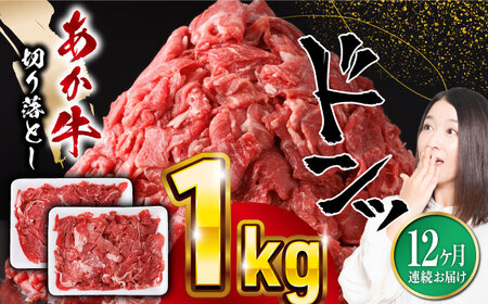 yS12ցzF{Y  ؂藎Ƃ v1kg ؂藎Ƃ Y  a[YBZ022]