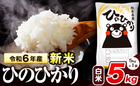 令和6年産 新米 早期先行予約受付中 ひのひかり 白米 5kg [11月‐12月より出荷予定] 熊本県産 白米 精米 氷川町 ひの 送料無料 ヒノヒカリ コメ 便利 ブランド米 お米 おこめ 熊本 SDGs