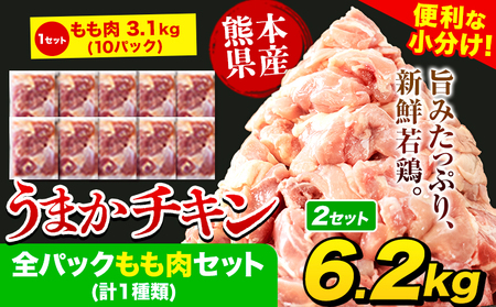 うまかチキン鶏肉 もも肉 [1-5営業日以内に出荷予定(土日祝除く)]6.2kg(20P)