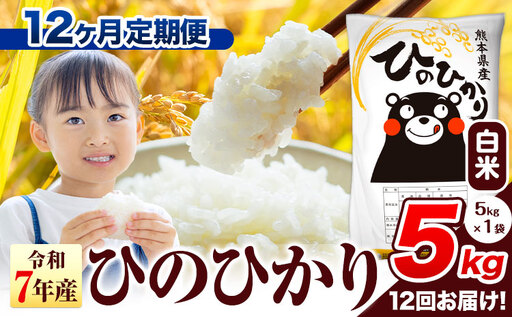 R7年産【12ヶ月定期便】ひのひかり 5kg 米 定期