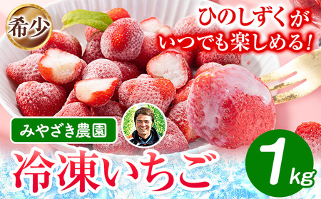 冷凍いちご 約1kg みやざき農園[30日以内に出荷予定(土日祝除く)]熊本県 氷川町 いちご イチゴ ひのしずく 国産 冷凍いちご フルーツ ストロベリー 冷凍 お菓子作り 送料無料
