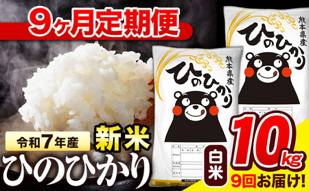 �V�� �ߘa7�N�Y ���� �y9��������ցz �Ђ̂Ђ��� 10kg�s���\���ݗ�������o�ׁt �F�{���Y ���� ���� �X�쒬 �Ђ� �������� �q�m�q�J�� �R�� �֗� �u�����h�� ���� ������ �F�{